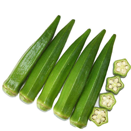 2021022317322016149s.jpg