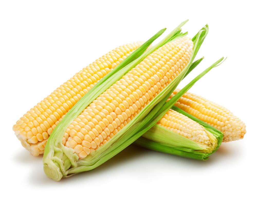 2021022417021916115y.jpg