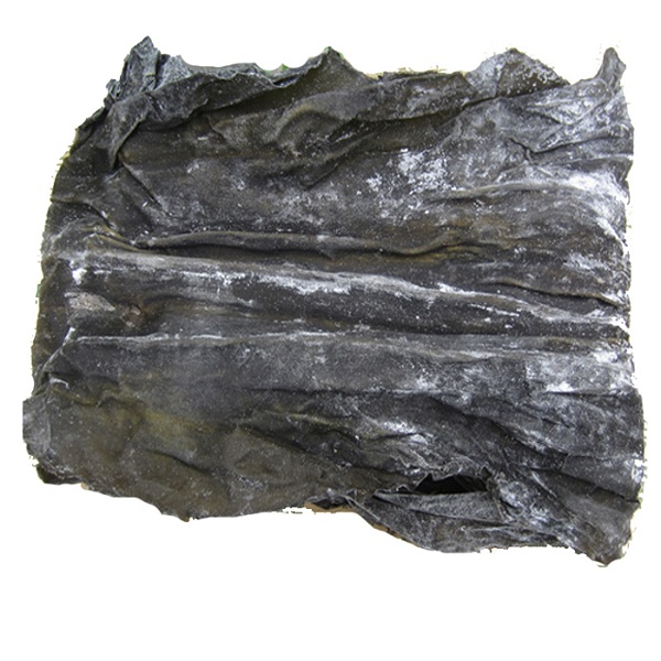 2021022713513816137r.jpg