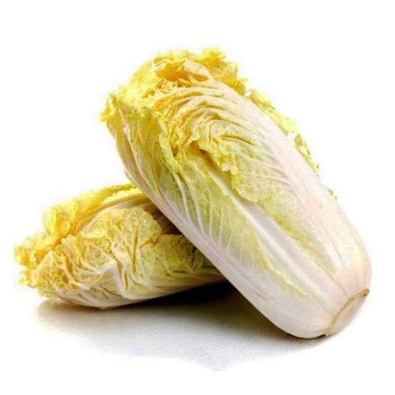 黄心白菜.jpg