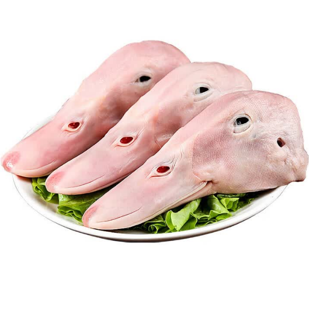 鸭头.png