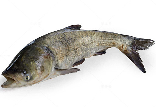 QQ_1784863972396.png