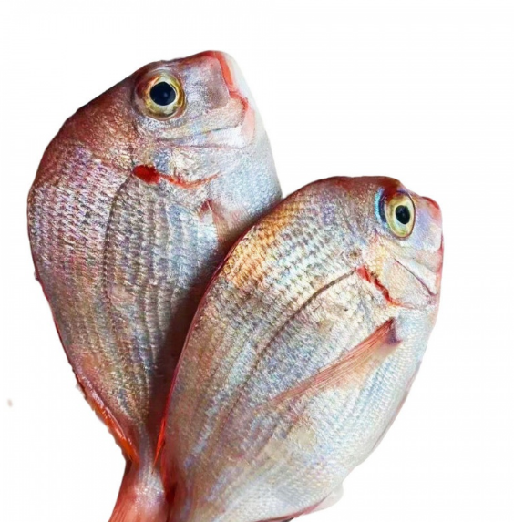 QQ_1784876472137.png