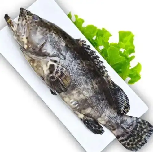 QQ_1784875550580.png